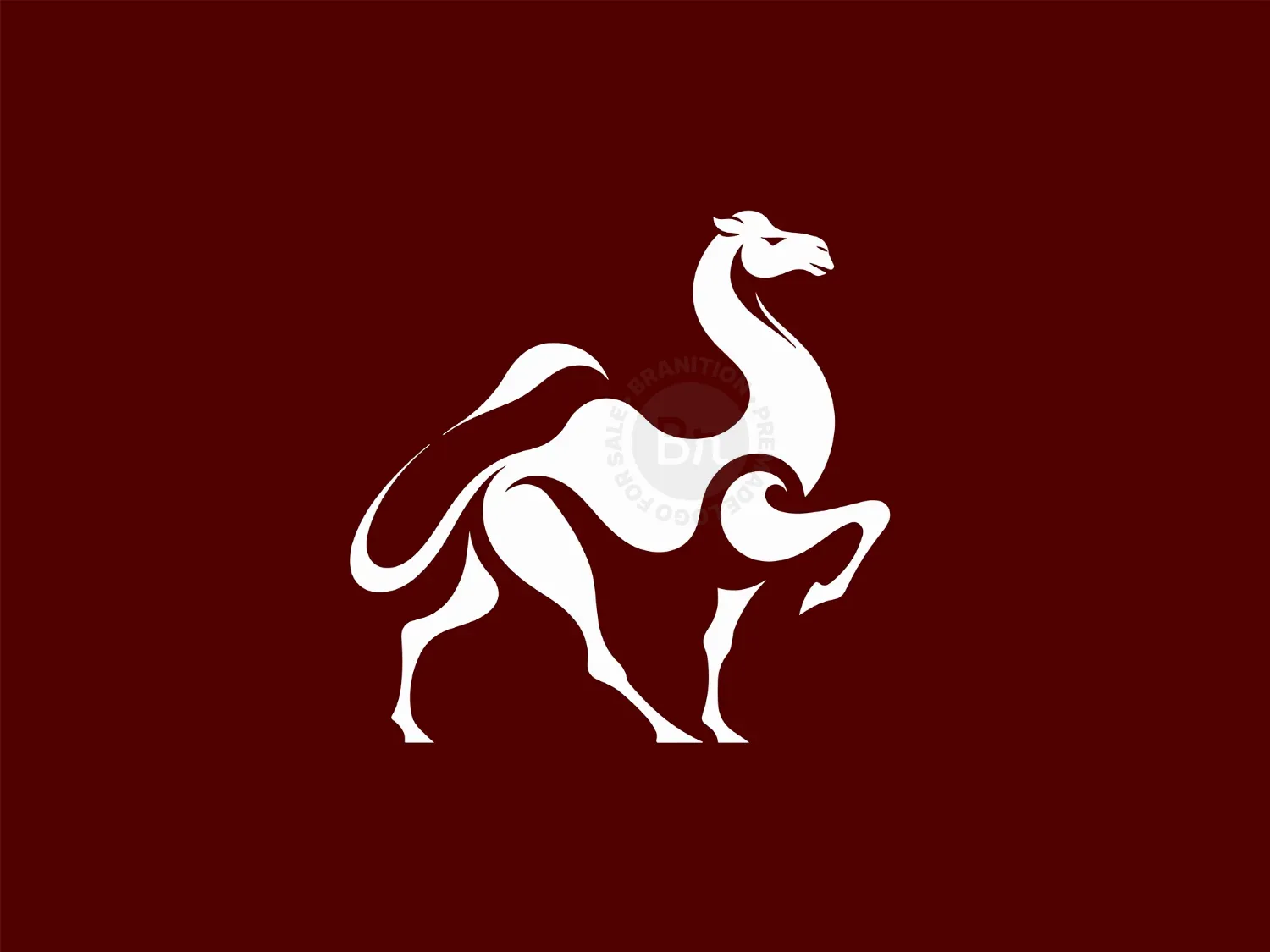 Elegant And Modern Camel Logo