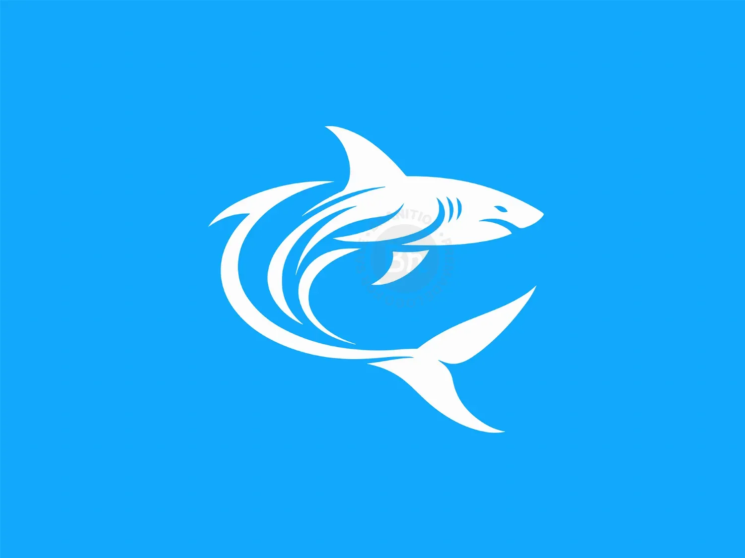 shark logo 16