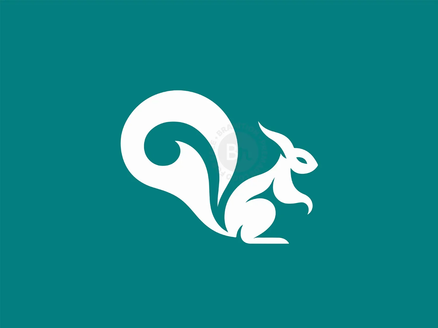 Modern And Elegant Squirrel Logo