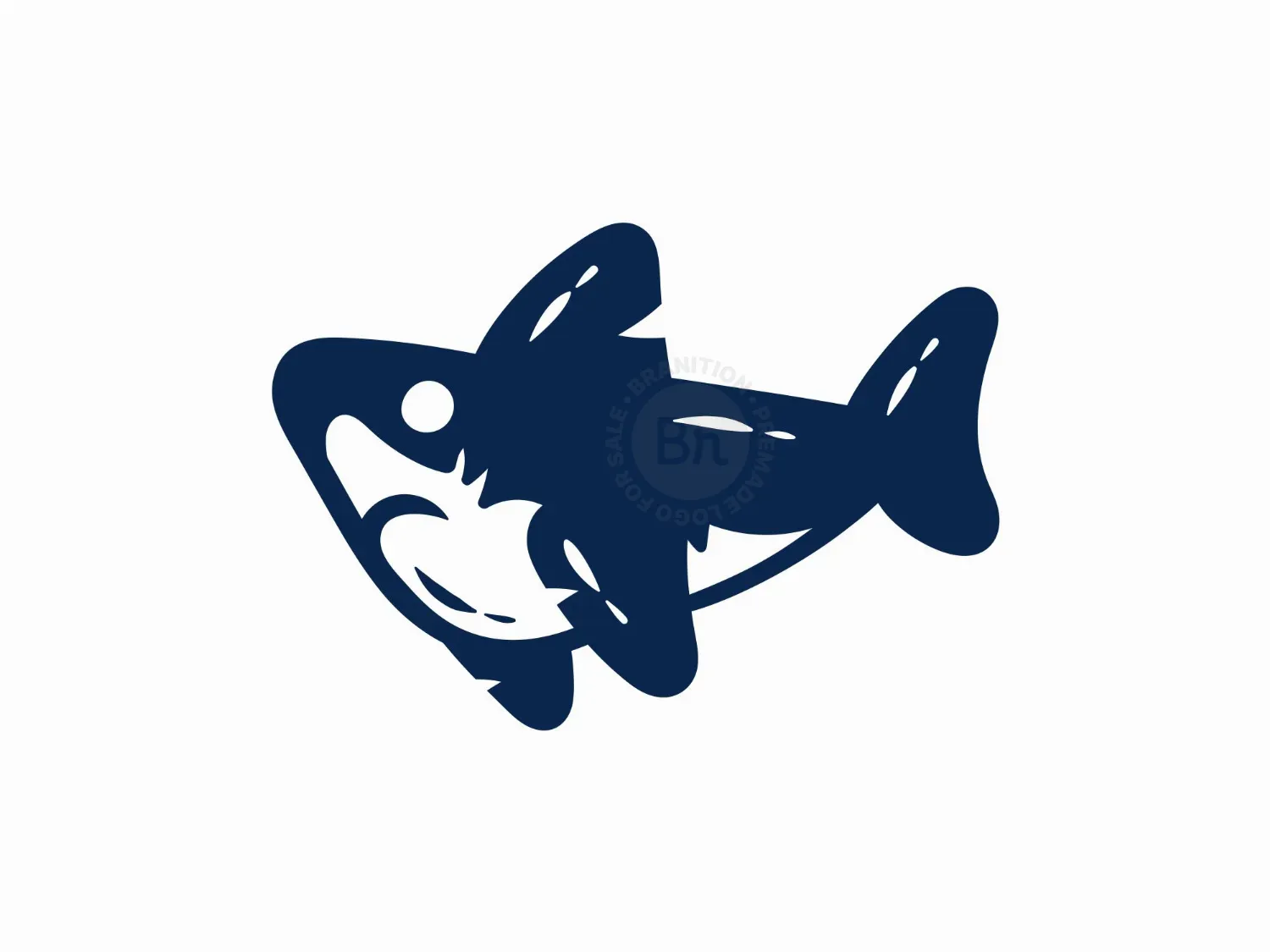 shark logo 37