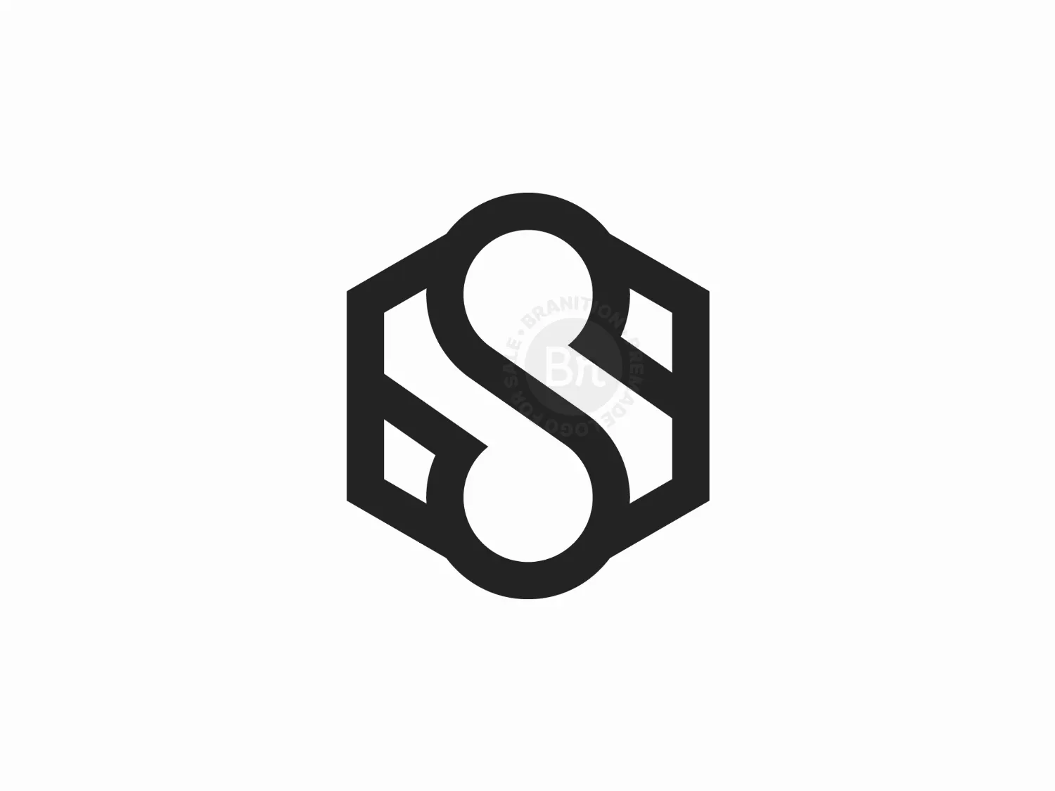 Letter S Hexa Logo