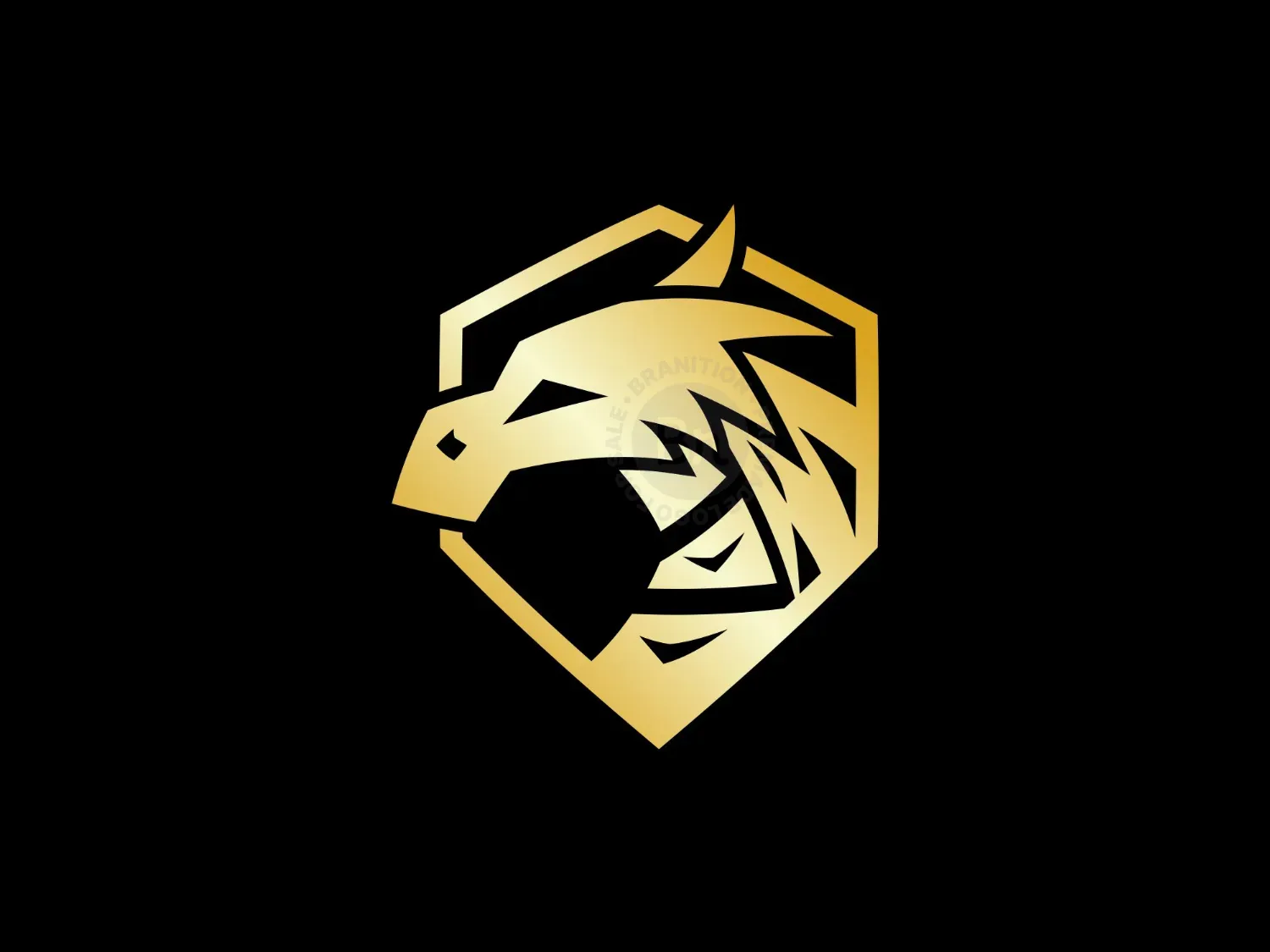 Dragon Shield Logo