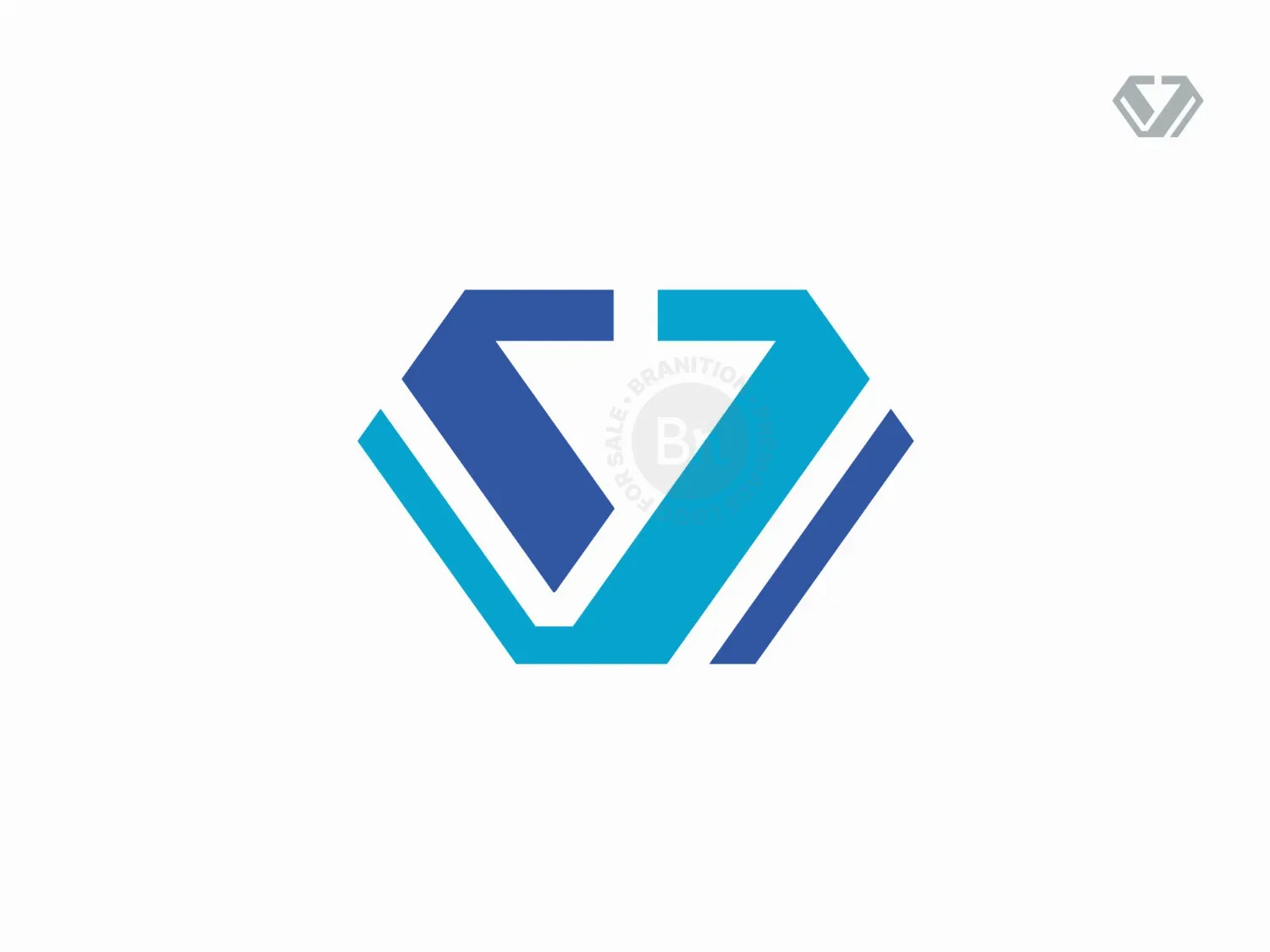 v monogram logo 36