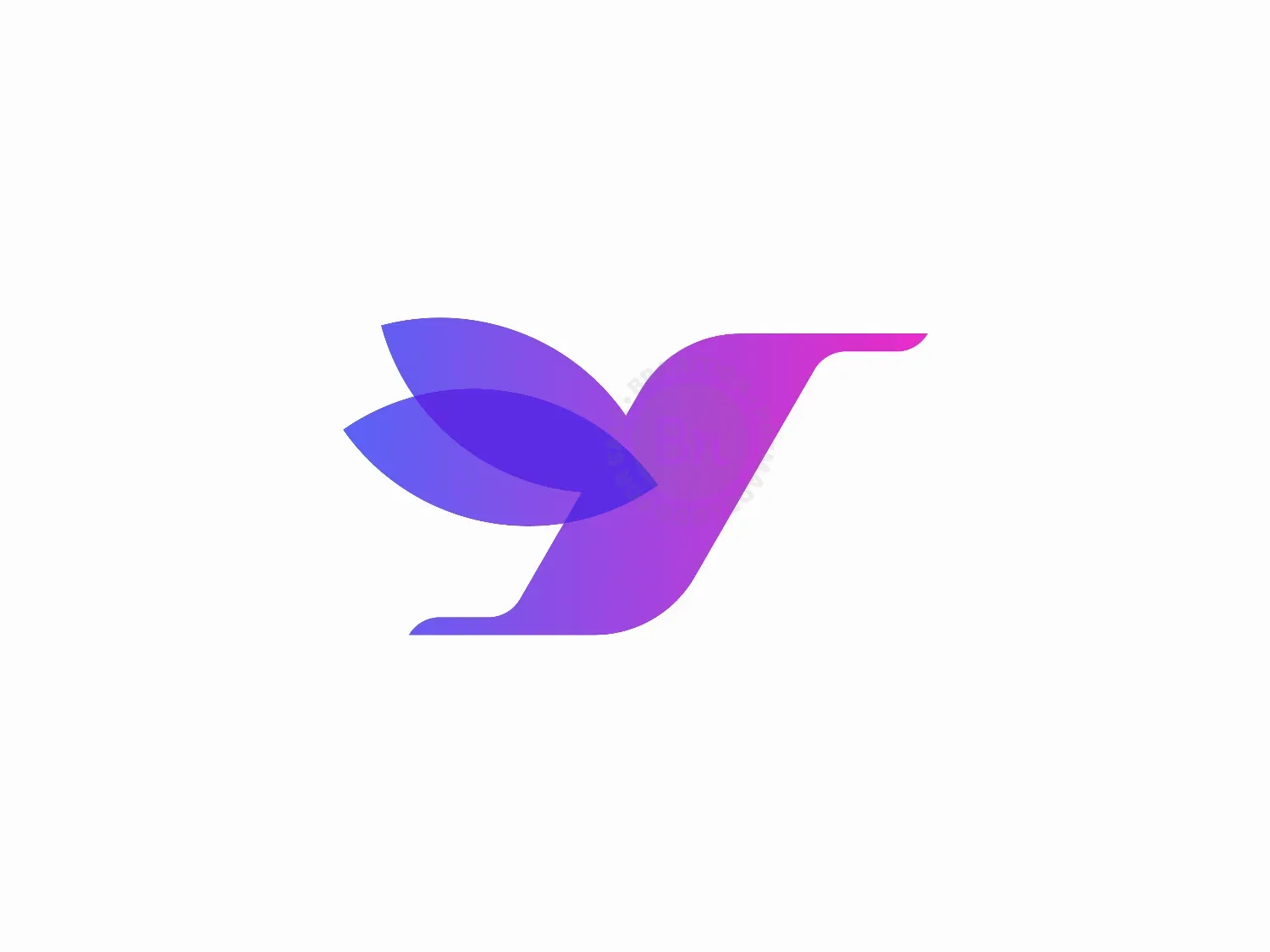 Humming Bird Logo