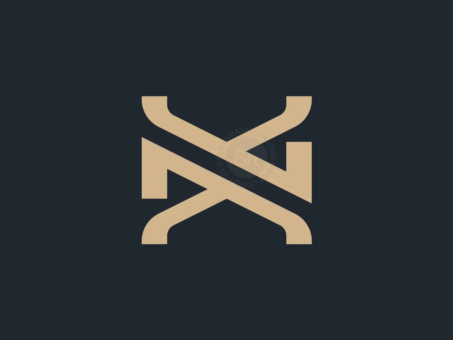 NX Monogram Logo