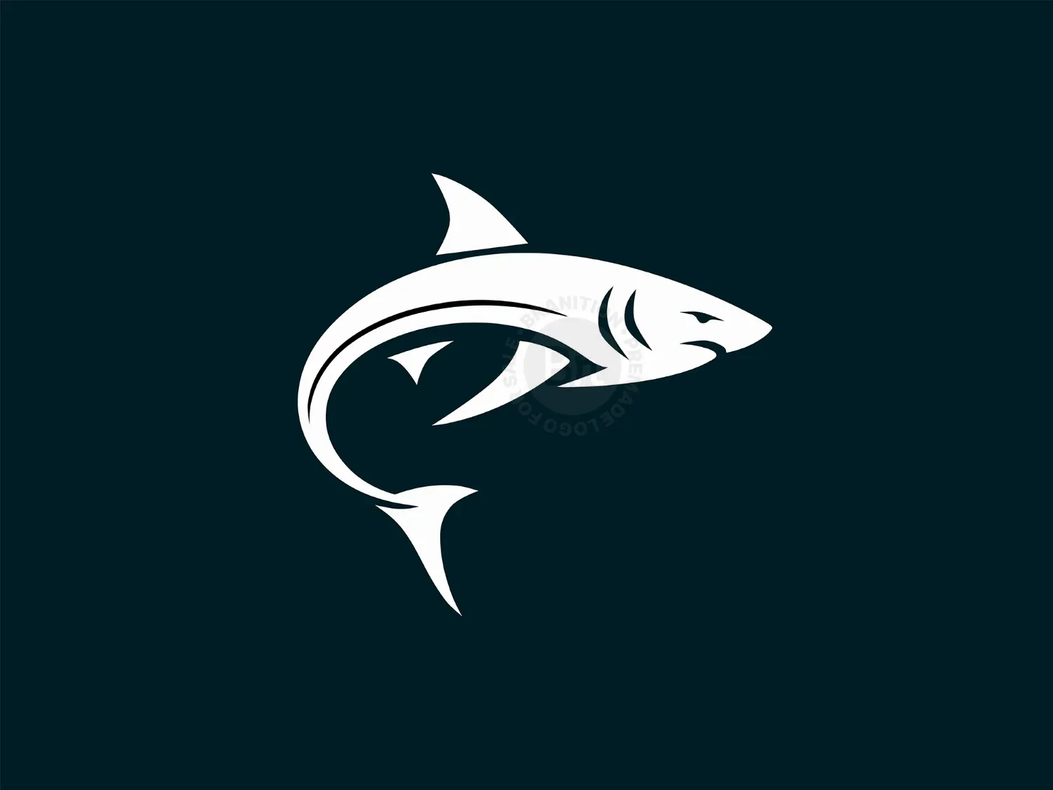 shark logo 12