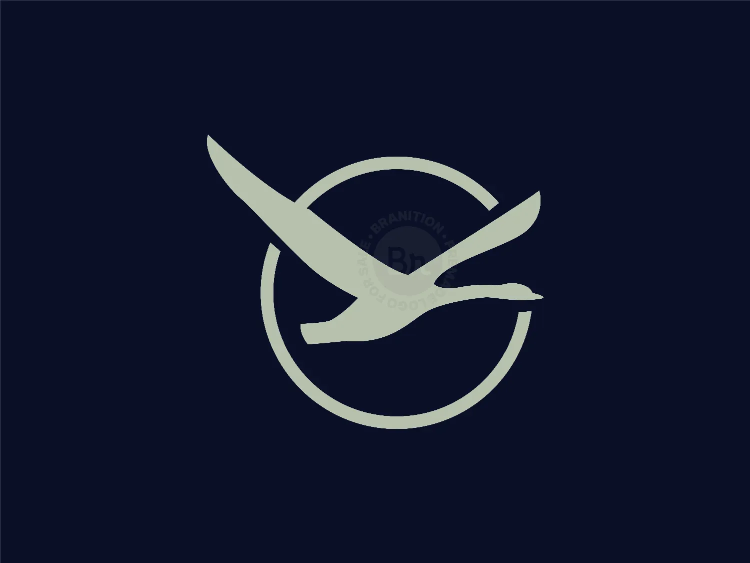 flying logo 4