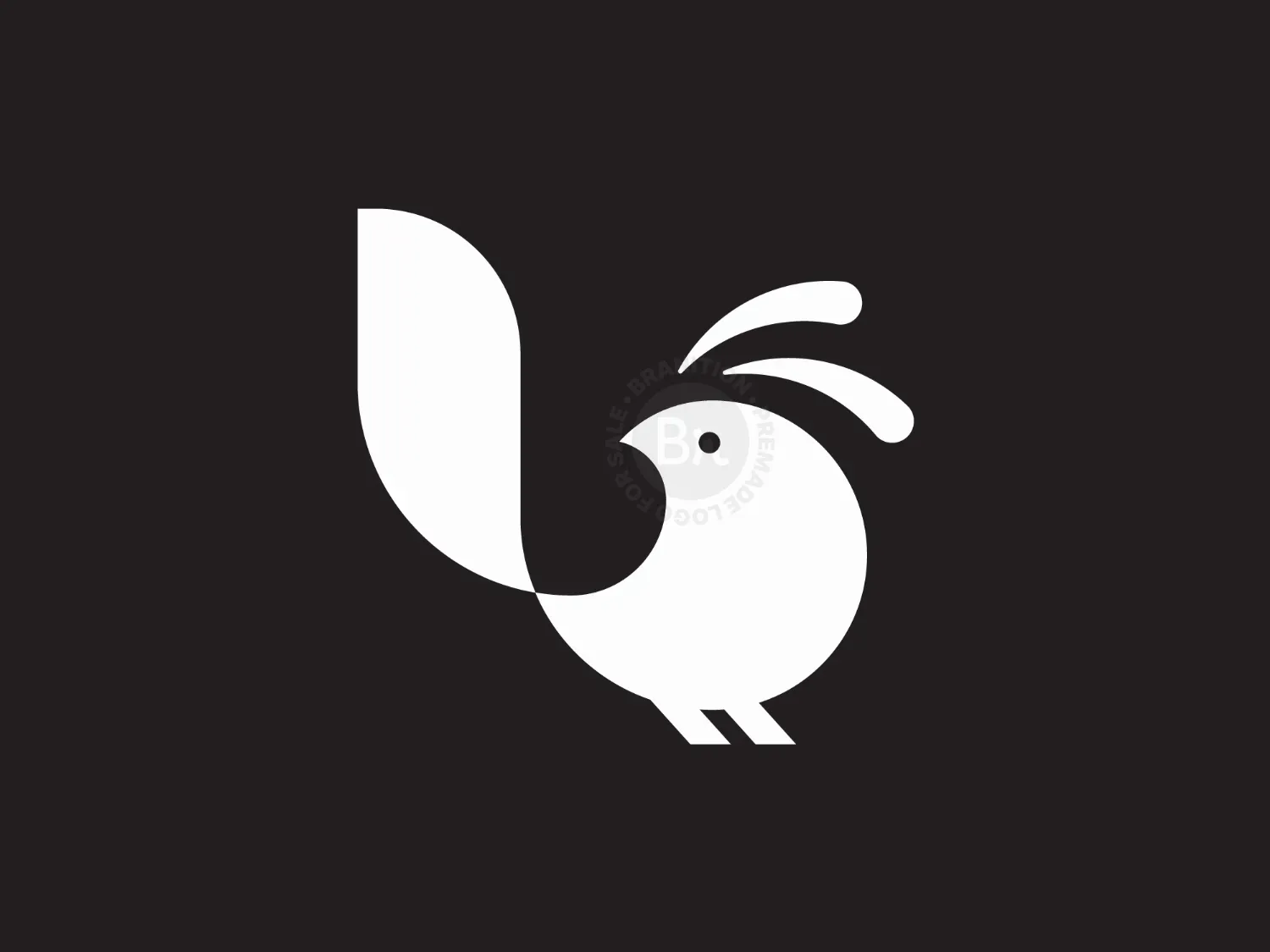 B Birdie Logo