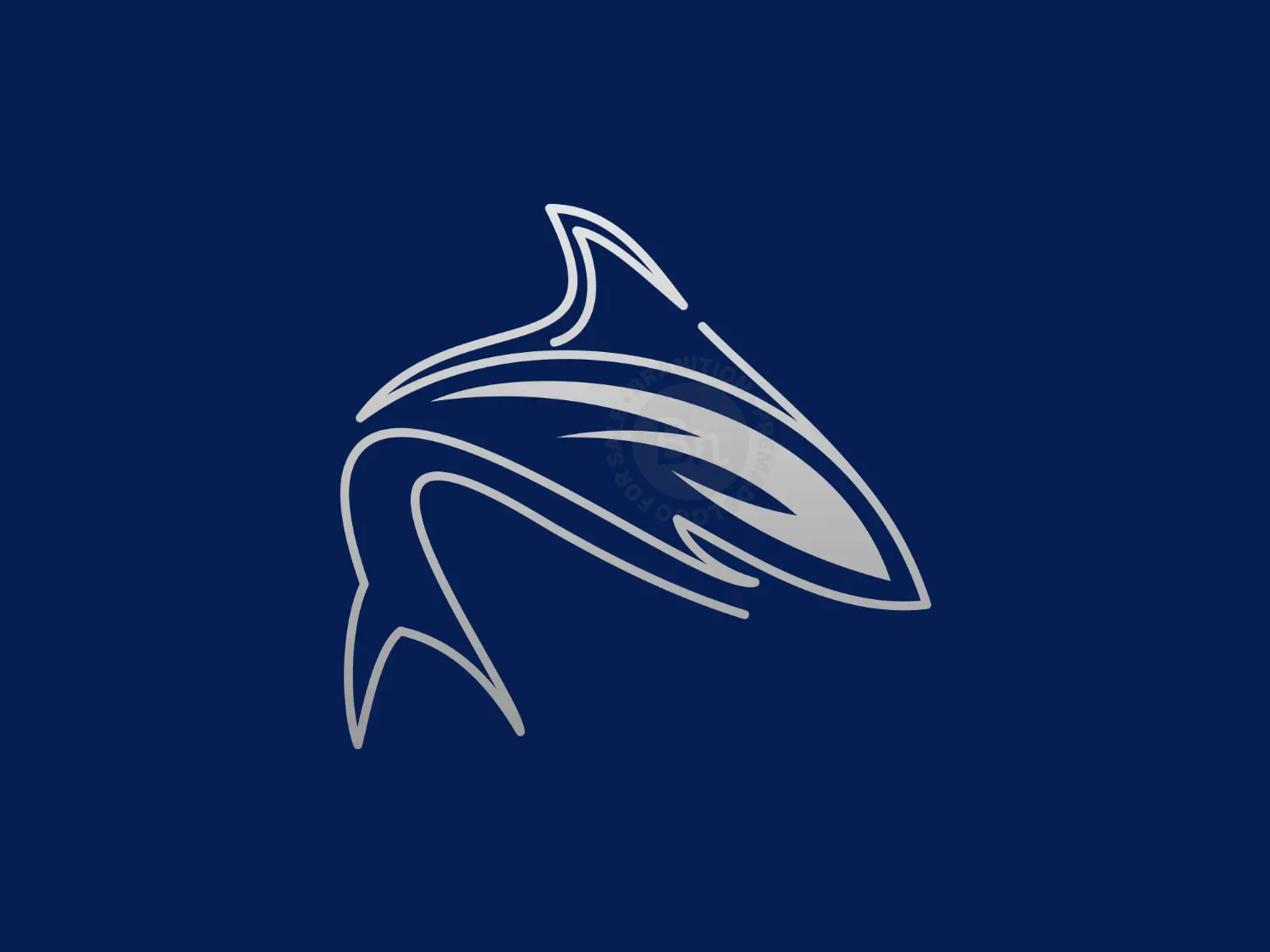 shark logo 47