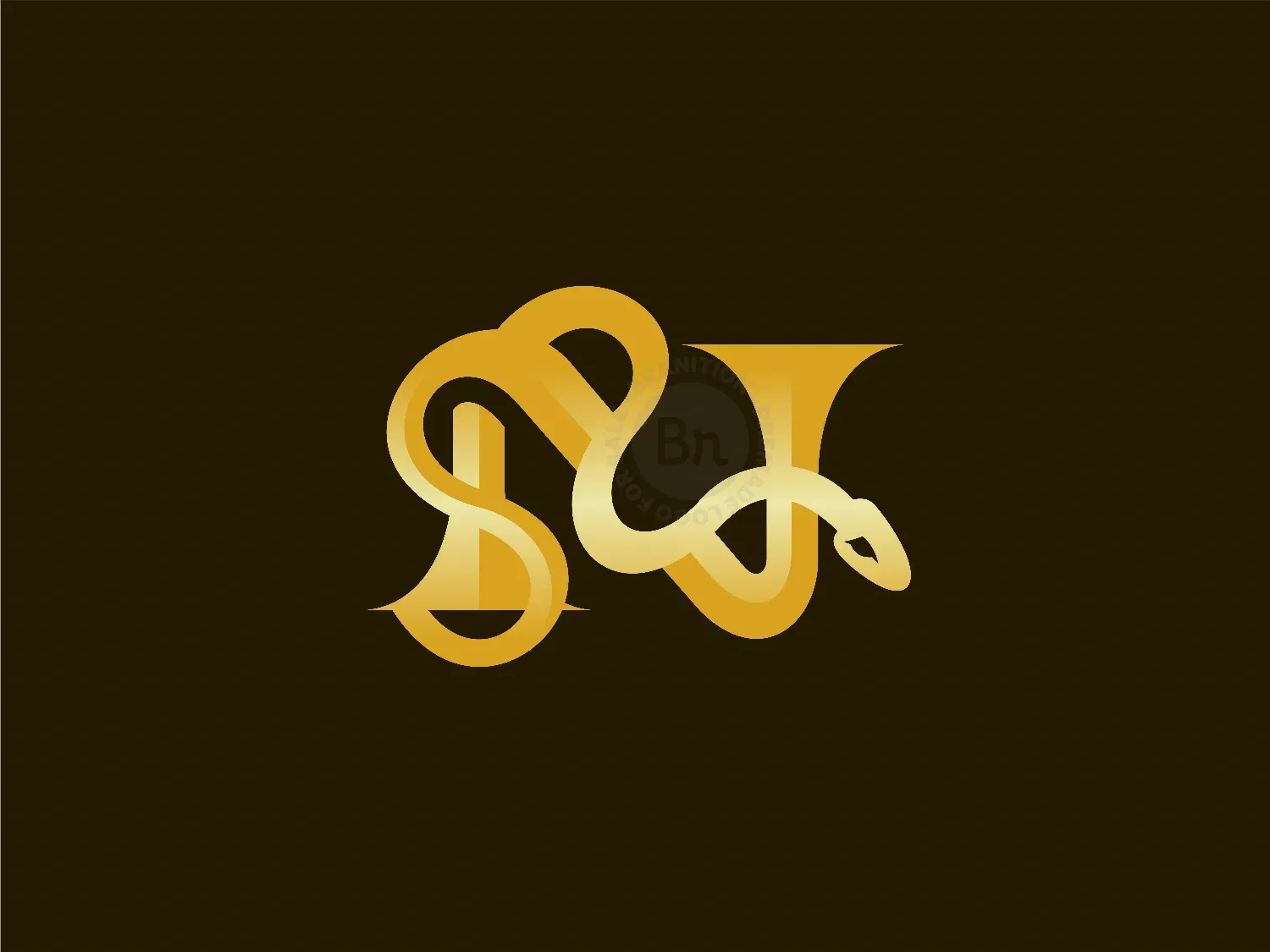 N Snake Logo