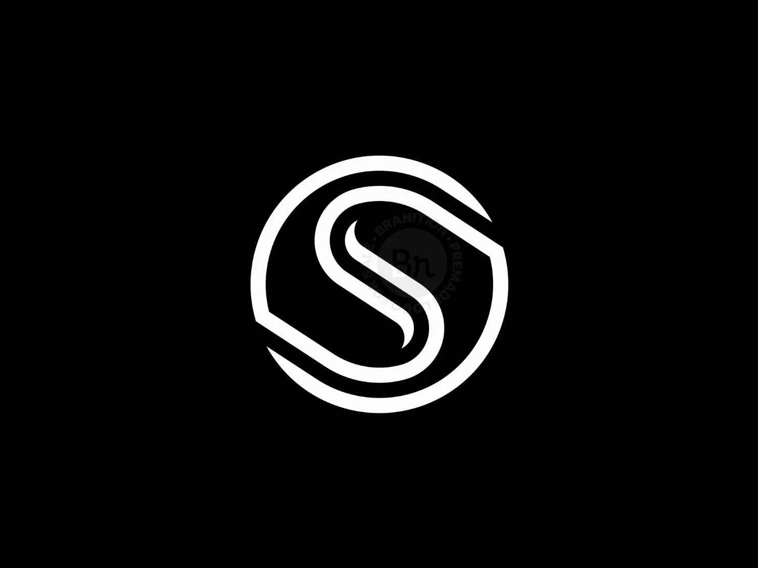 Letter S Elegant Logo