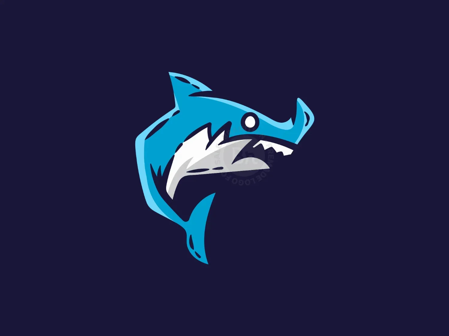 shark logo 33