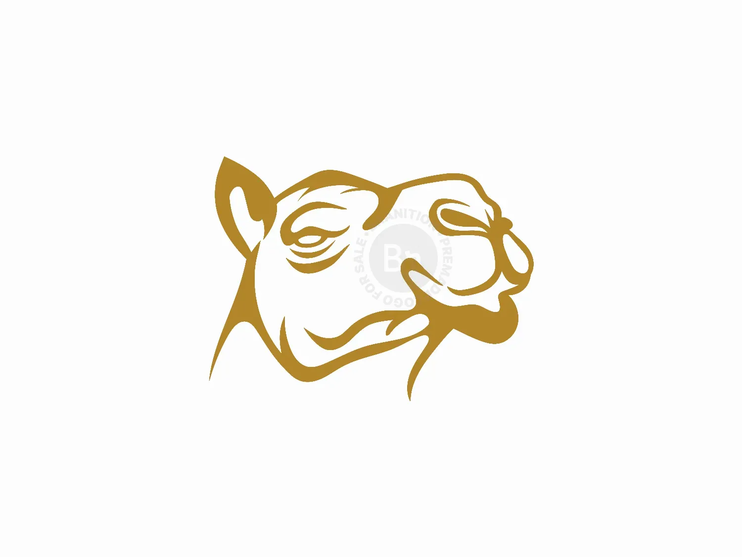 safari logo 7