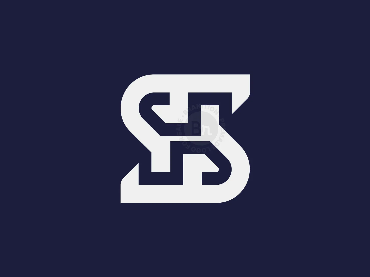 Stylish Letter S Logo