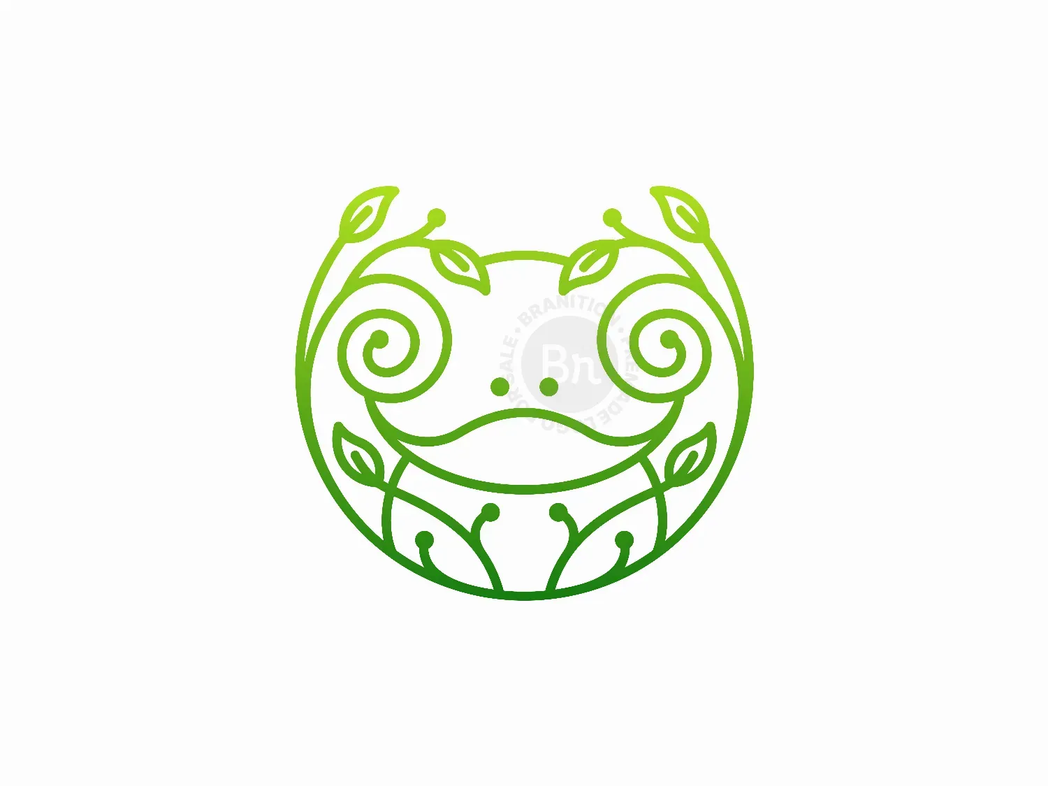 frog logo 24