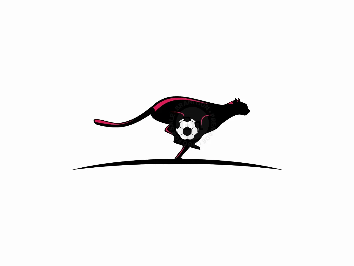 Cheetah Sport Logo