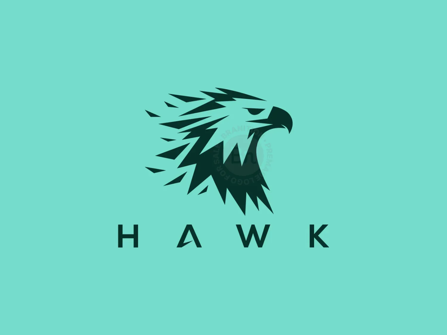 Hawk Logo For Sale!