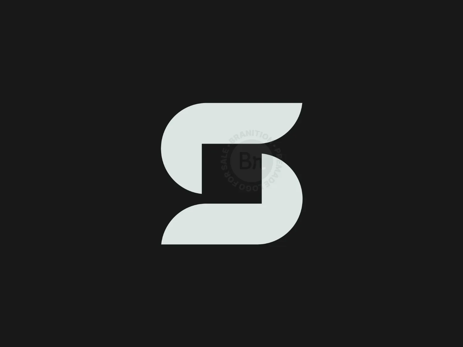 Letter S Logo Design