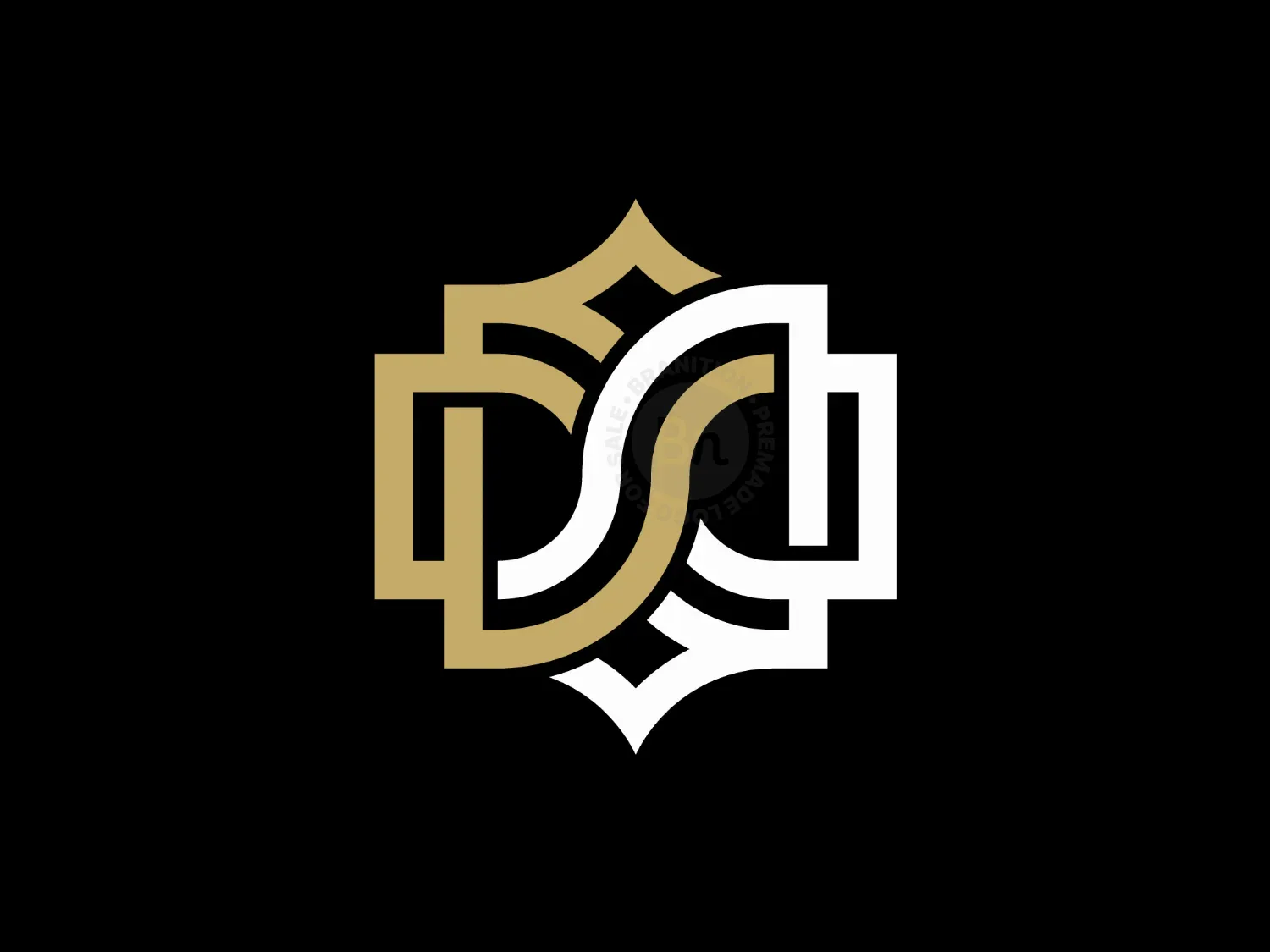 ds logo 2