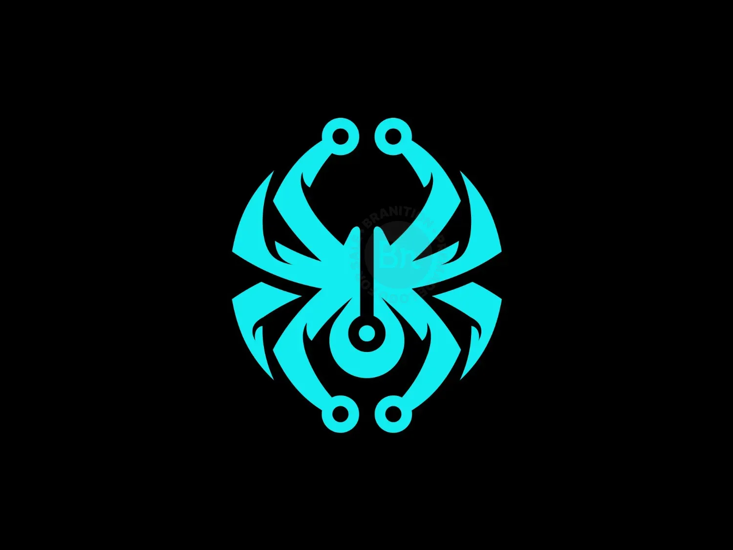 Spider Tech Logo