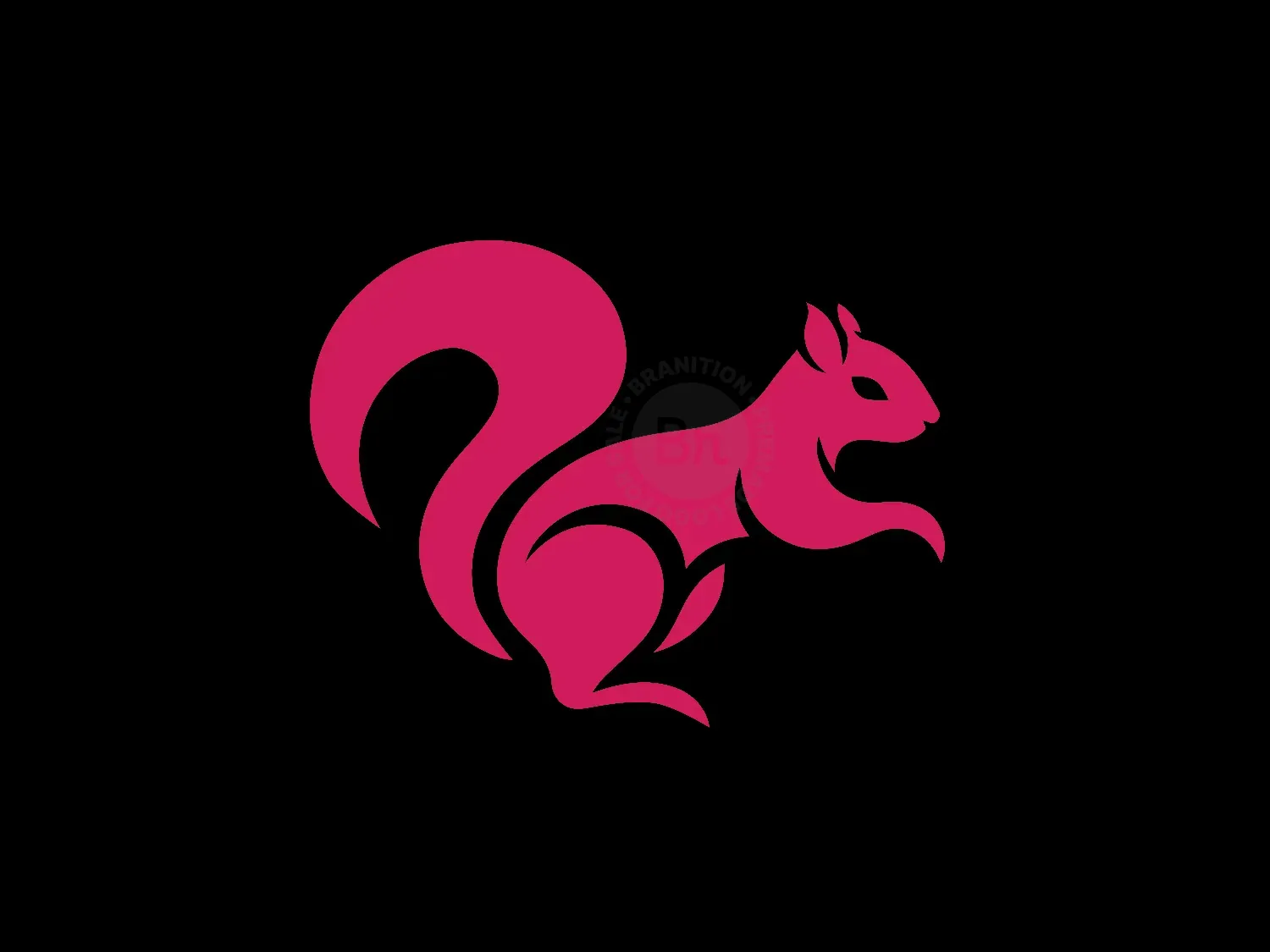 Modern And Elegant Squirrel Logo