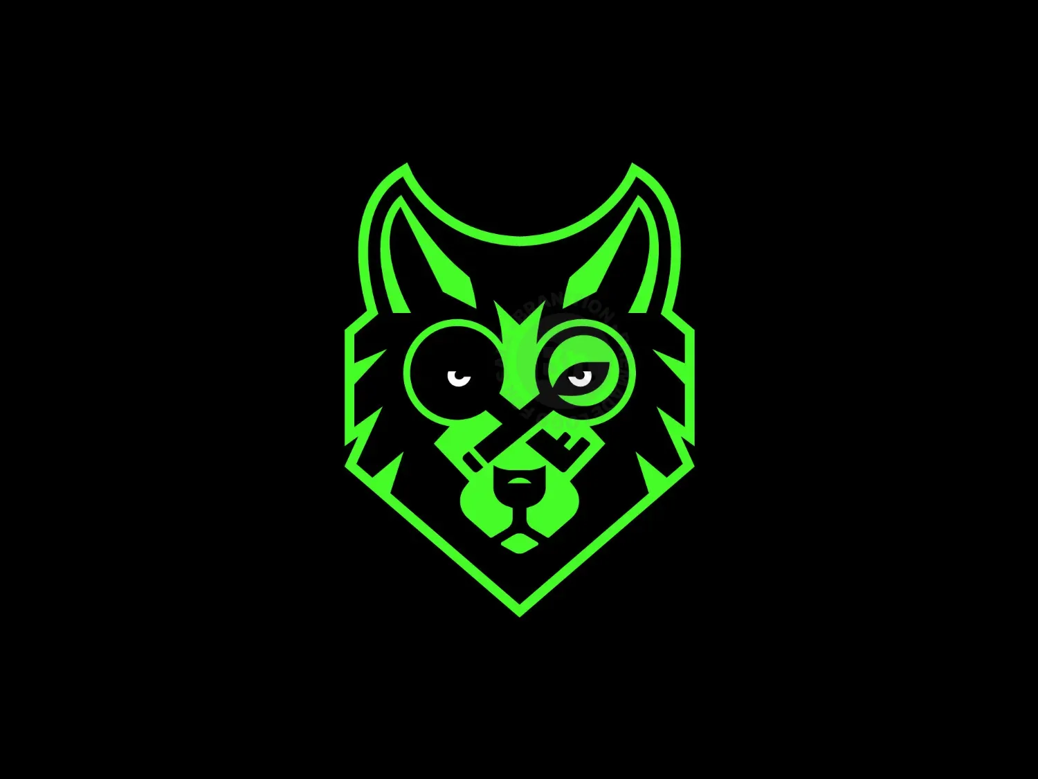 Cryptography Wolf Logo