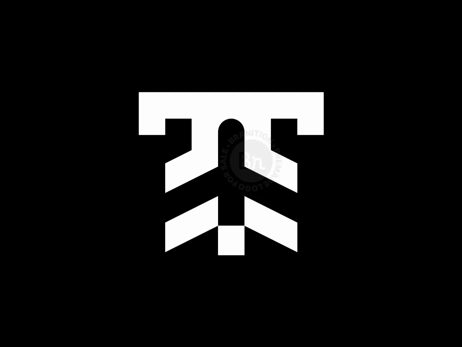 Letter T Plane Logo