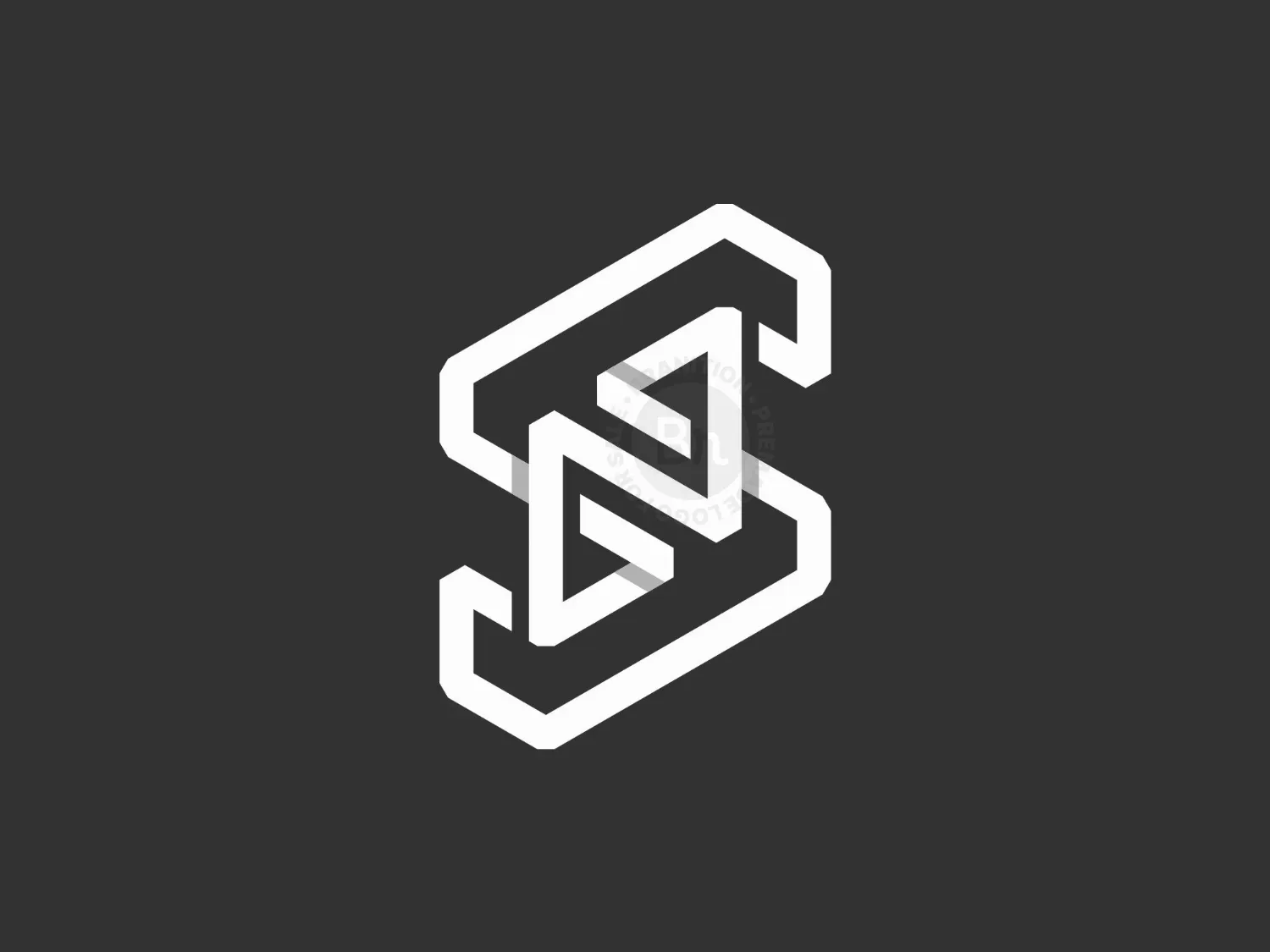 Letter SN Monogram Logo