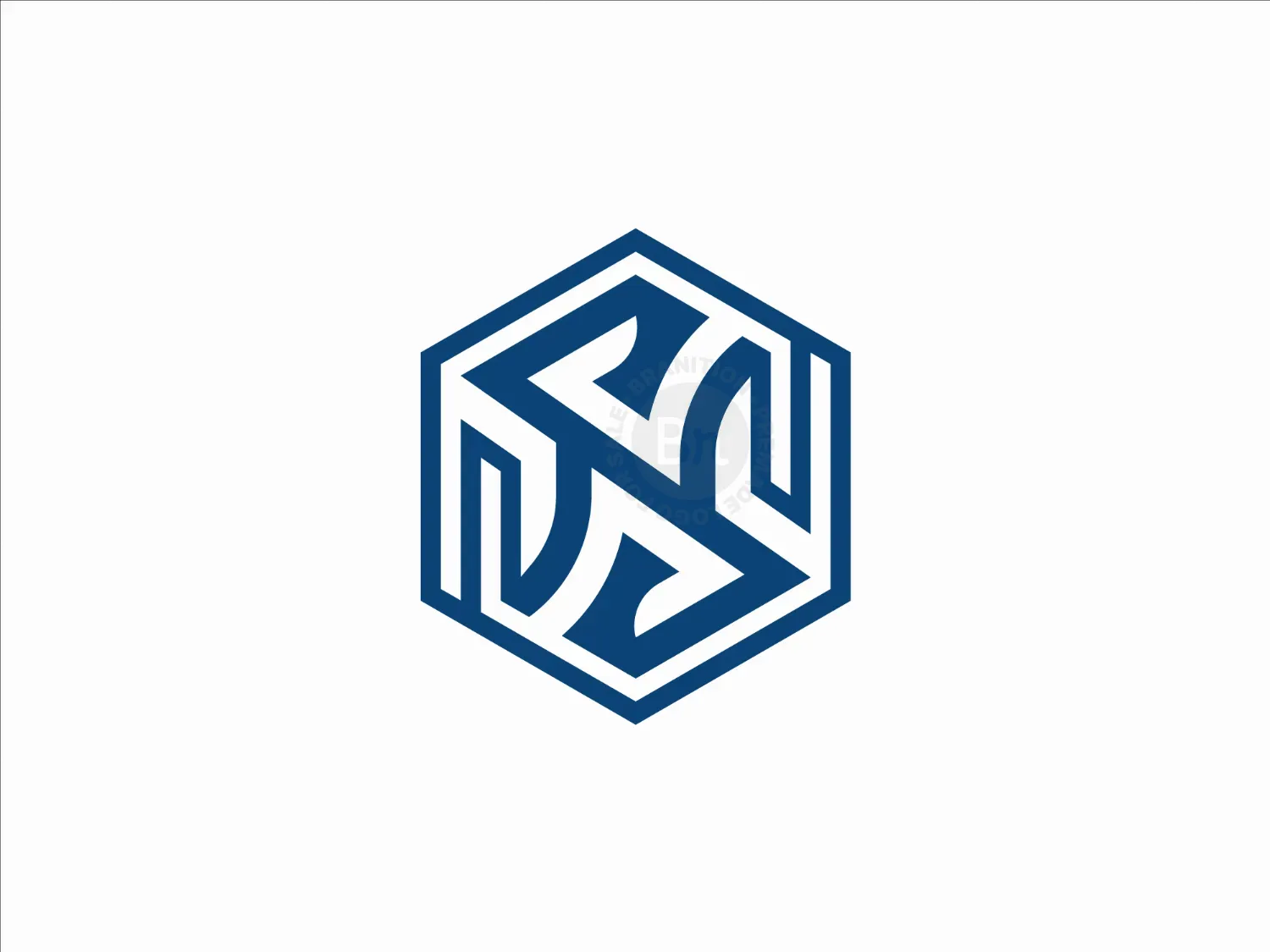 Letter Sn Hexagon Logo