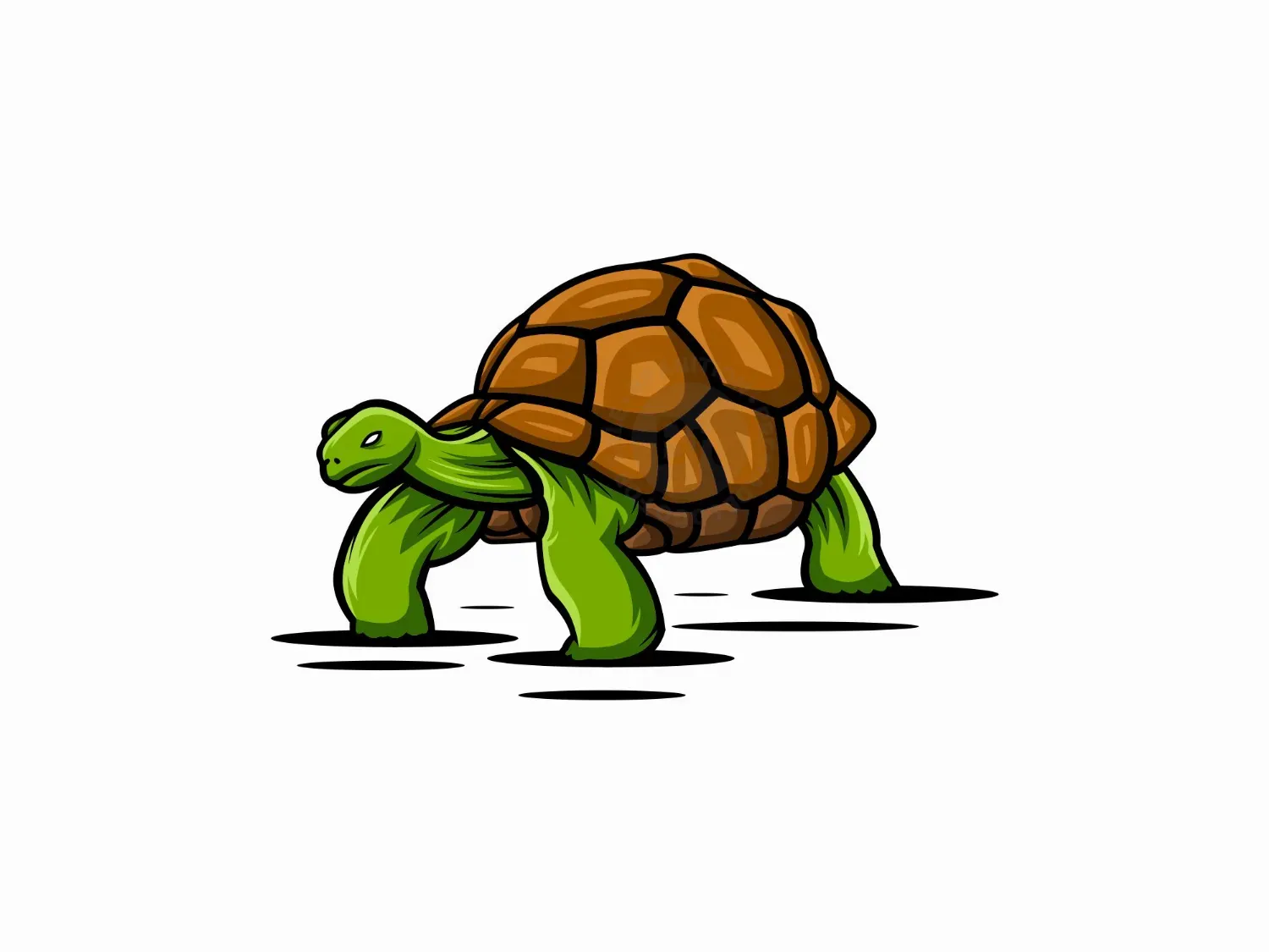 Tortoise Logo