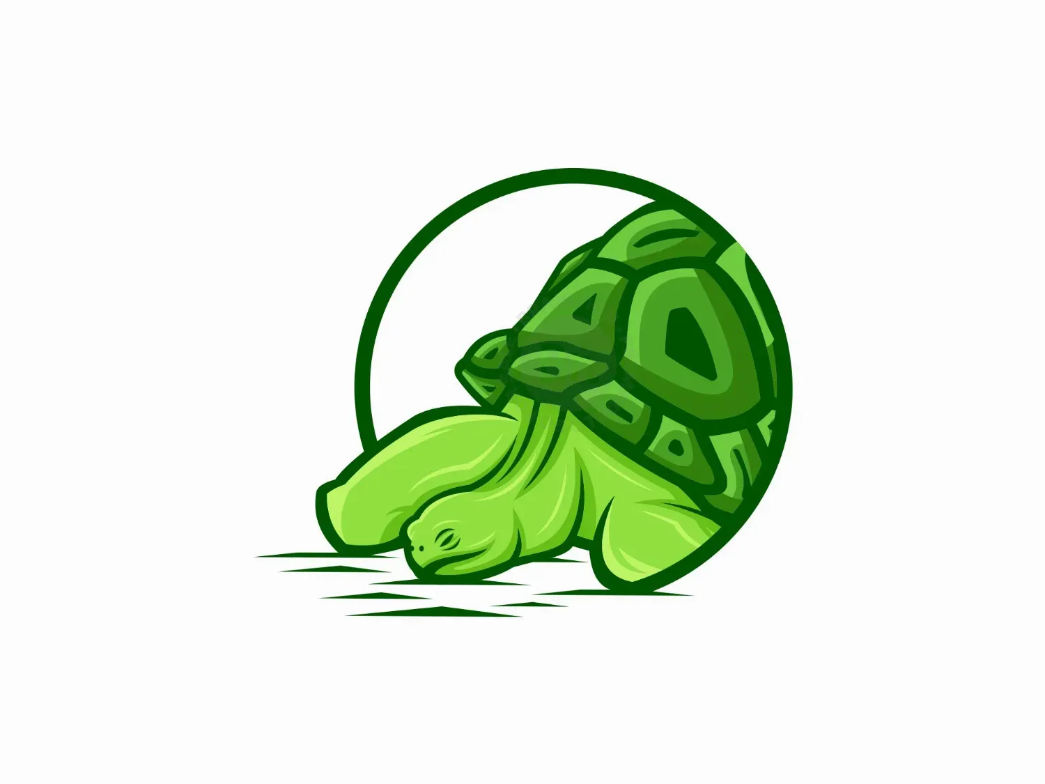 Tortoise Lazy Logo