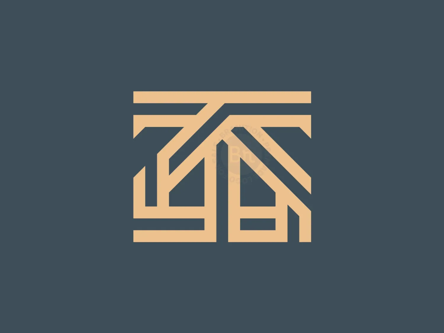 Letter T House Logo