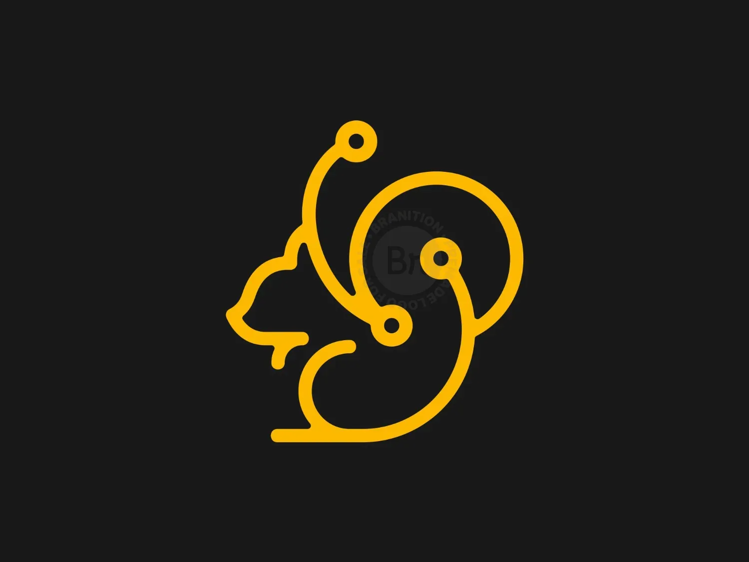 Squirrel Circuit Modern Logo