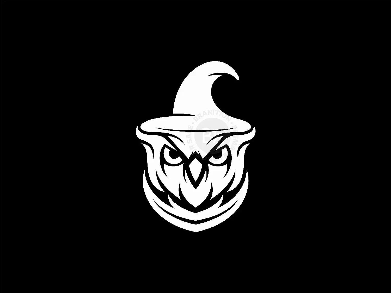 Owl Wizard Logo