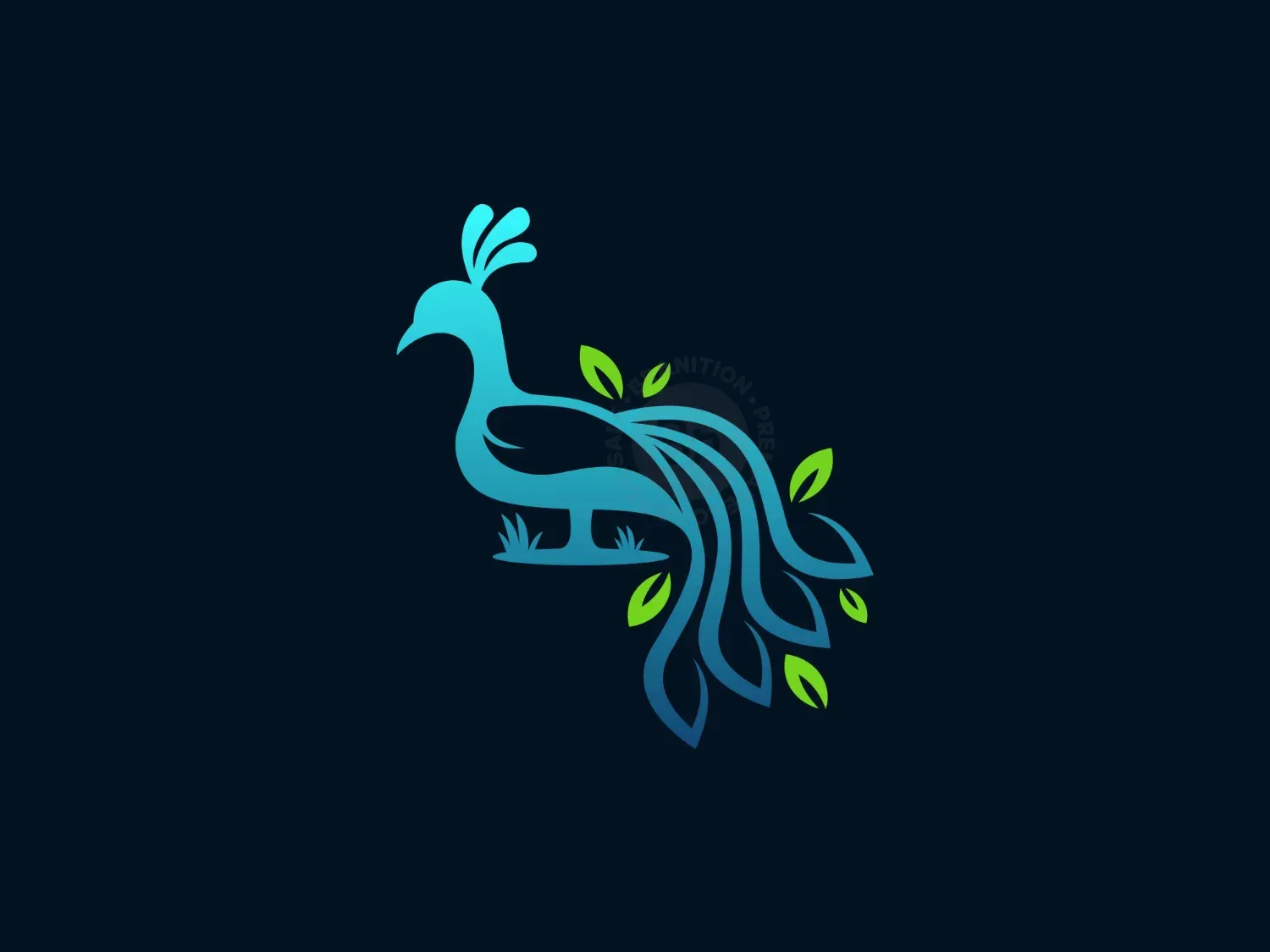 peacock logo 14