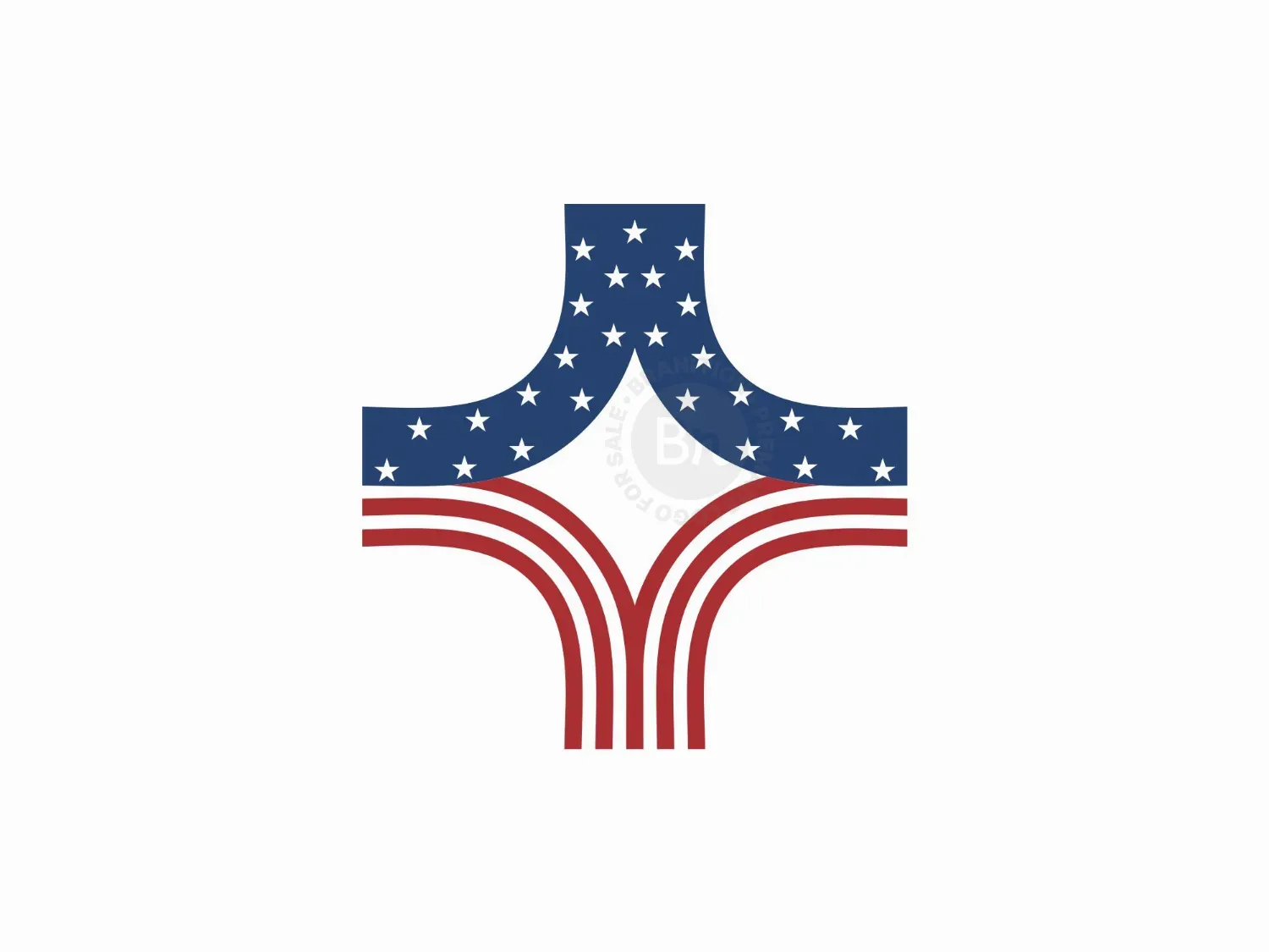 Plus Medical Flag Logo