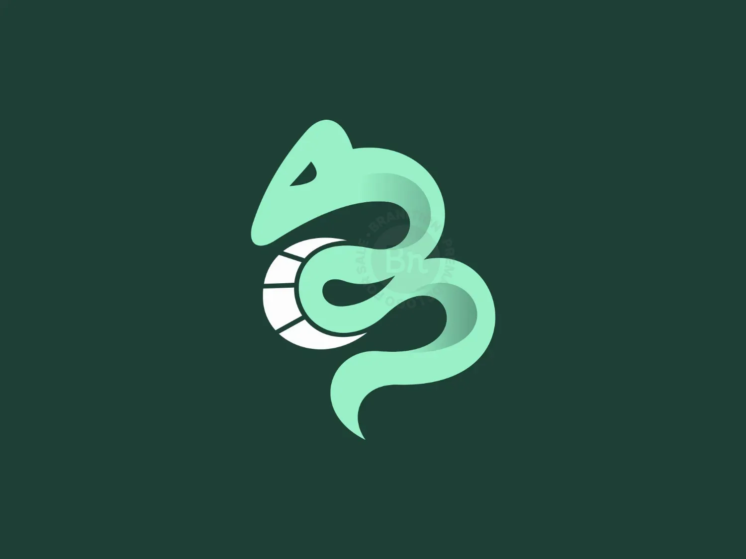 Letter B Snake Logo