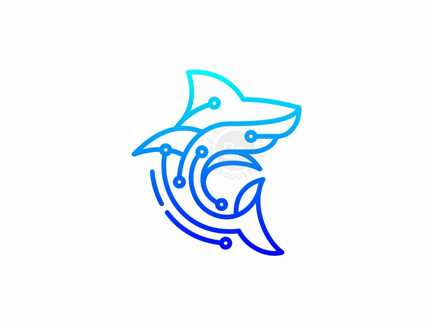 shark logo 47