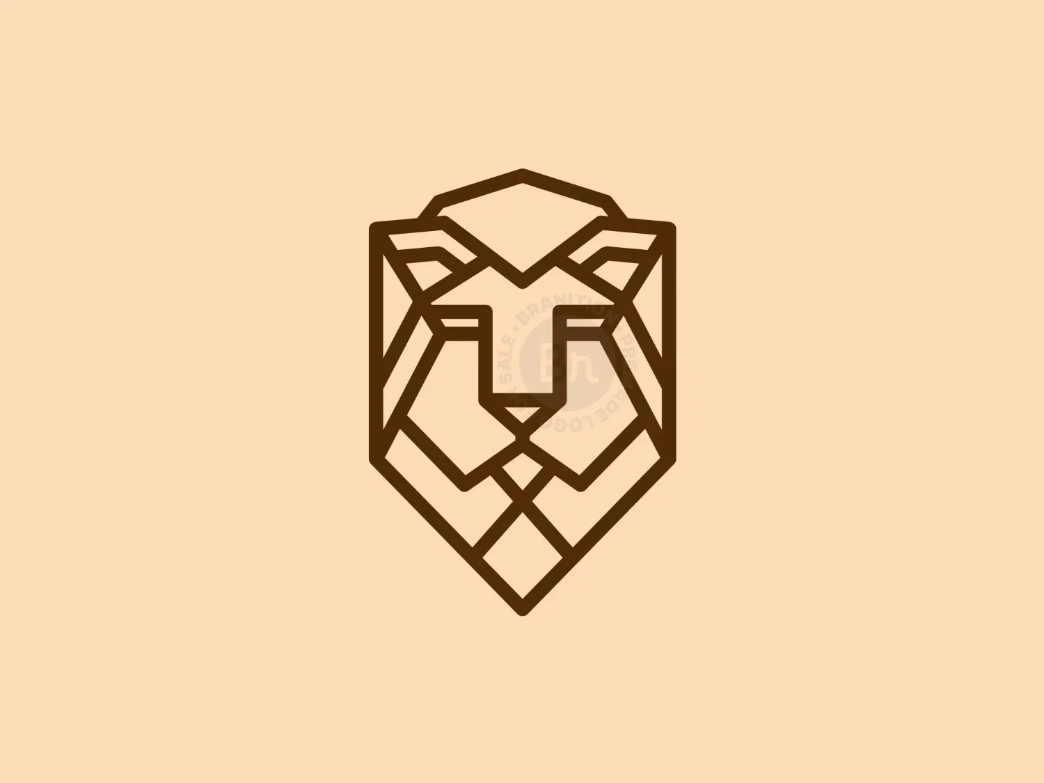 safari logo 1