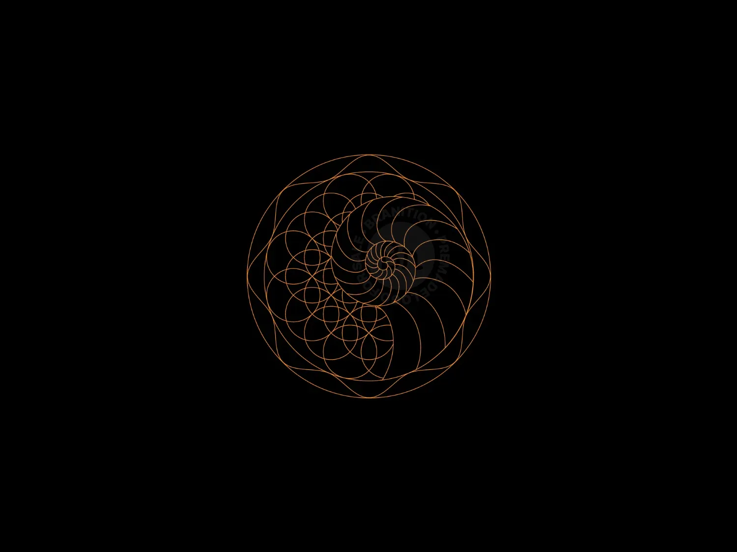 spiral logo 39