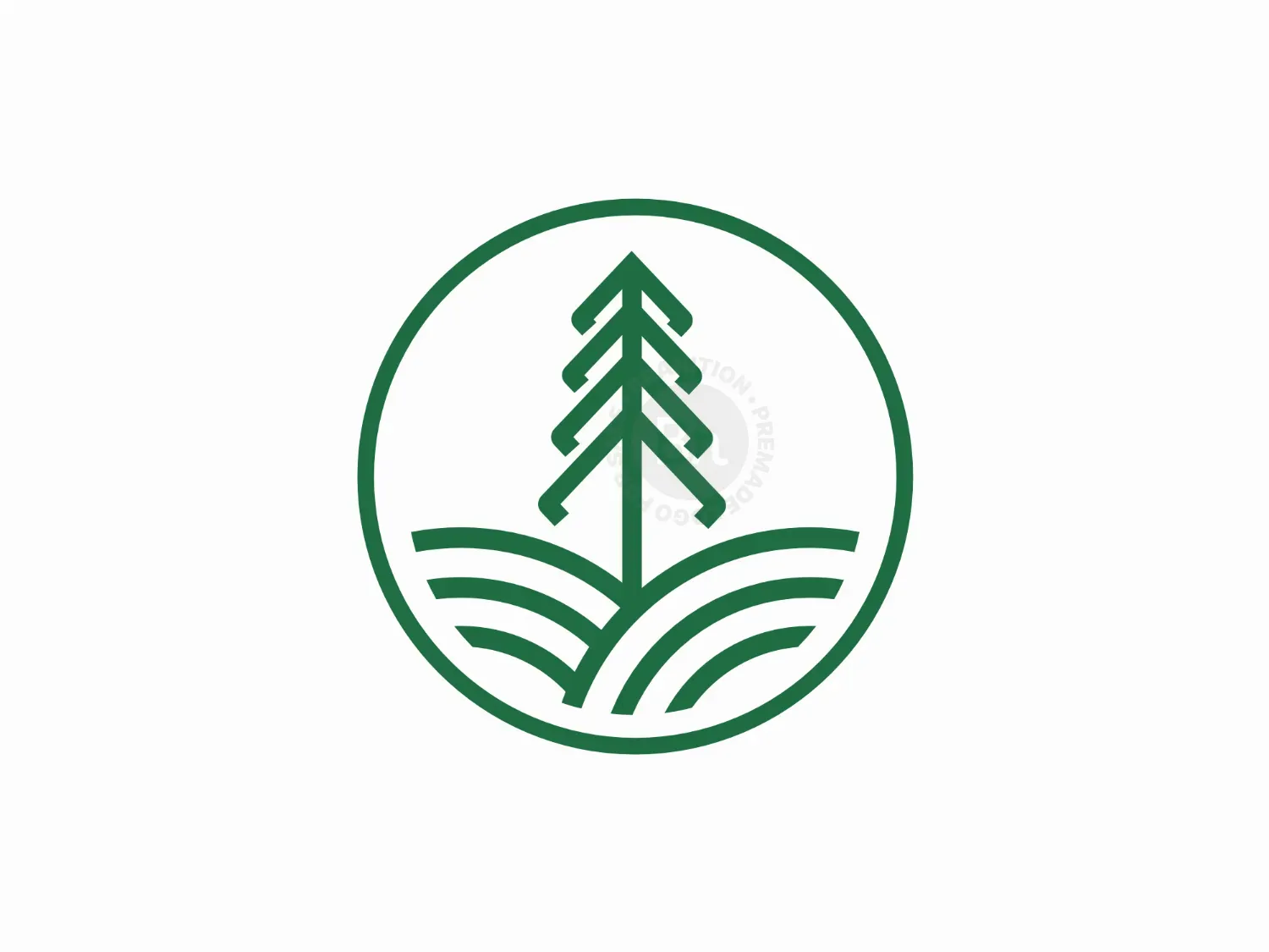 Pine Monoline