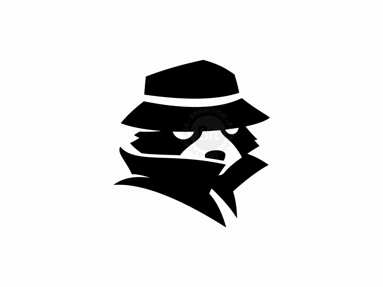 Detective Raccoon