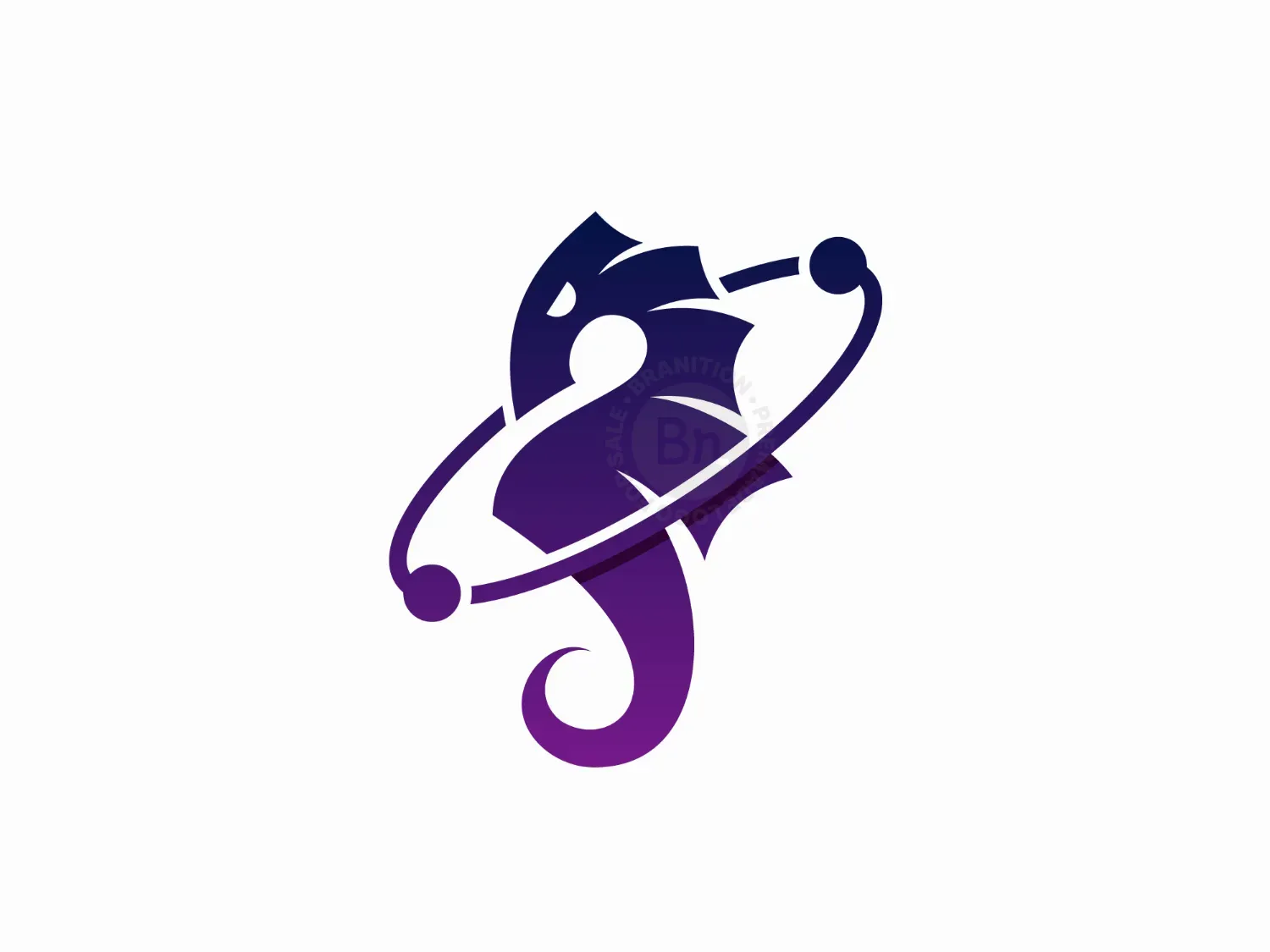Seahorse Tech