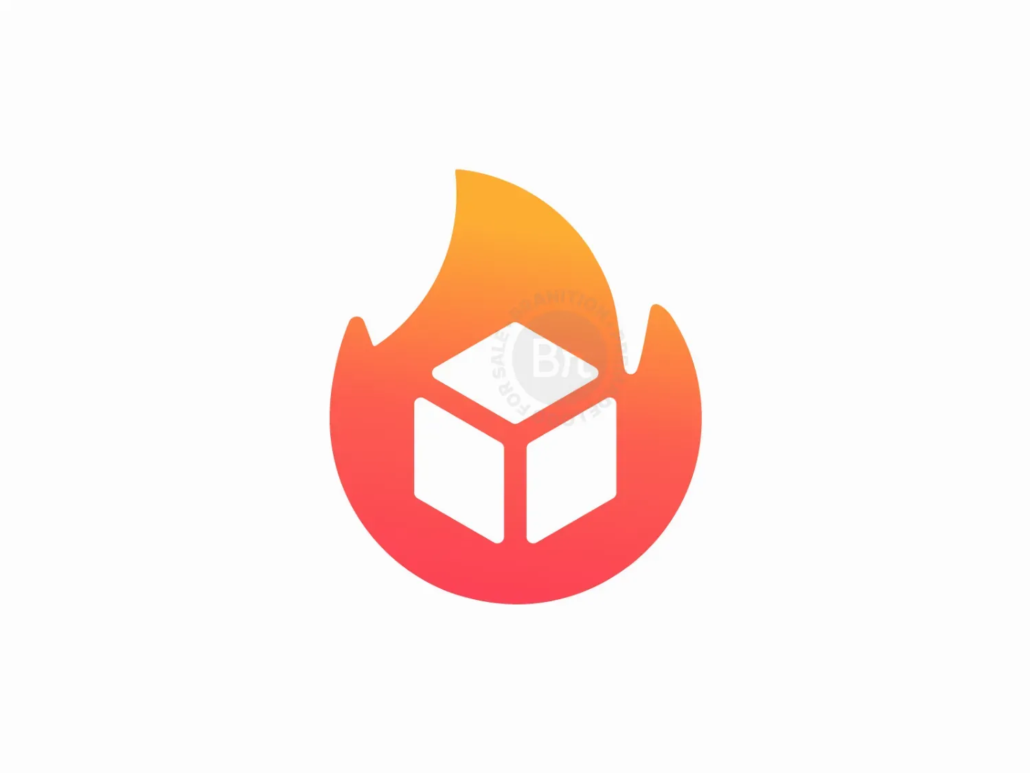 Flame Logo / Fire Logo / Burning Box Logo