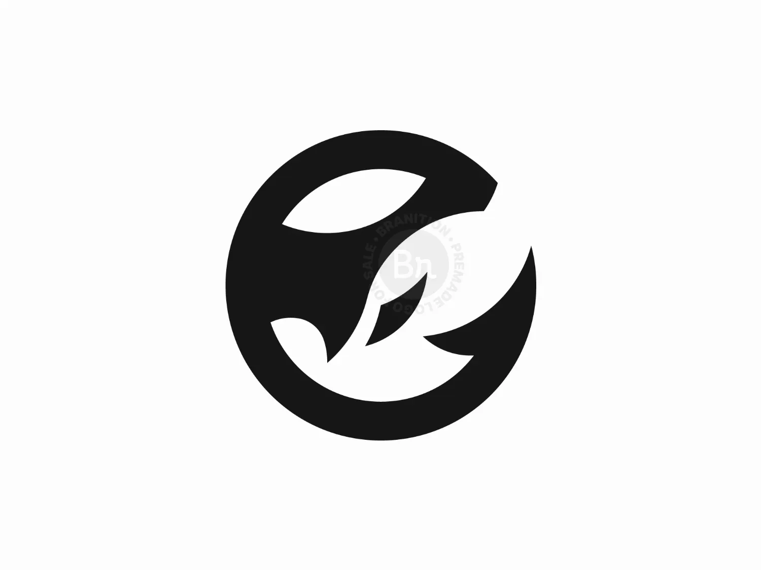 Modern Circle Orca Logo
