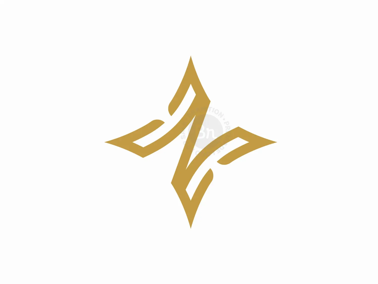 Letter N Star Logo