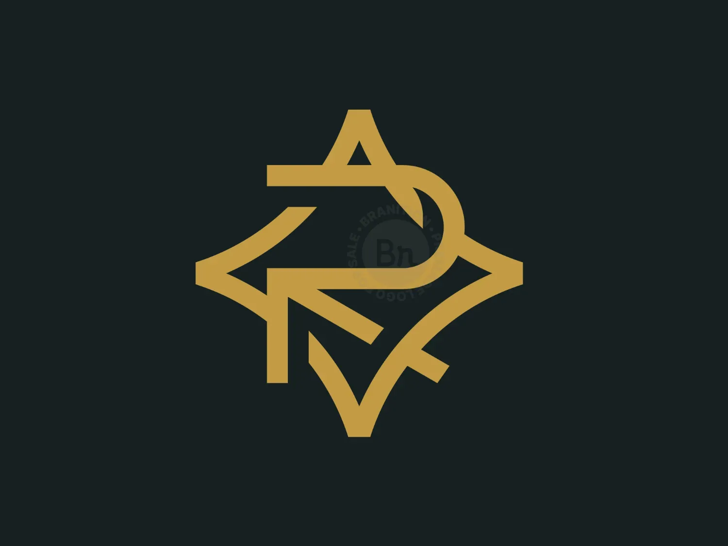 Letter R Star Logo