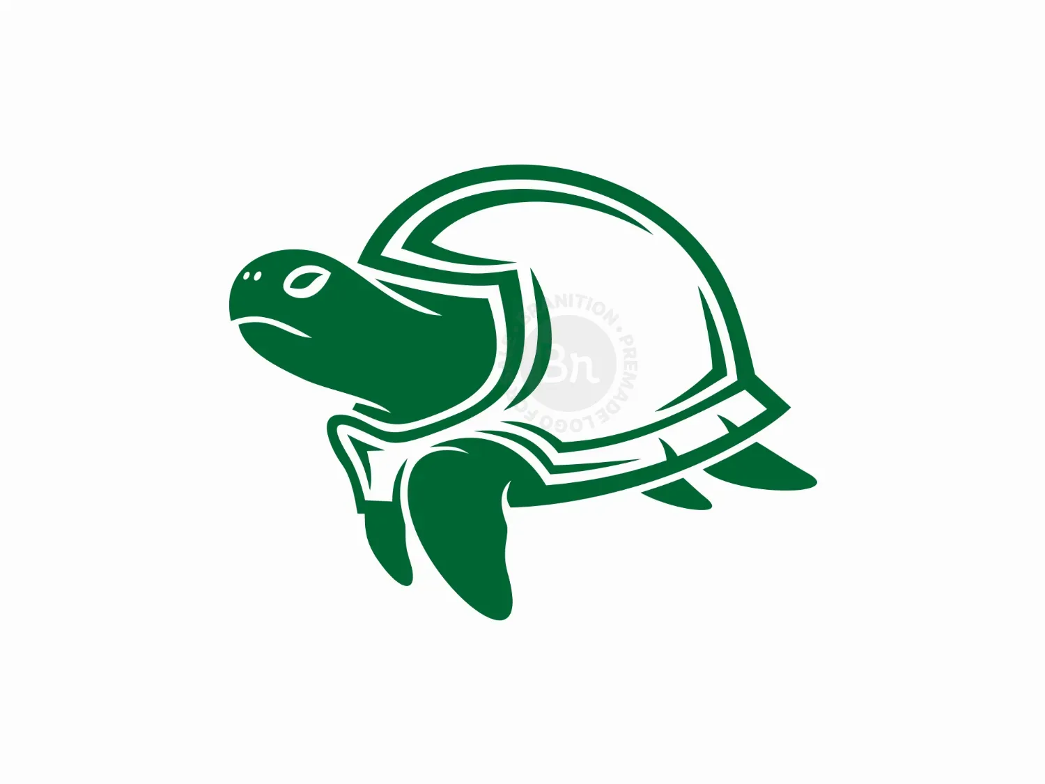 Helmeted Turtle