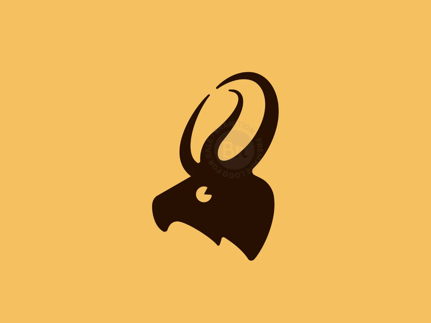 Moose Coffee