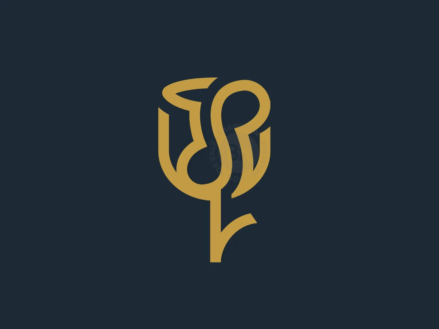 logo infinity logo 2